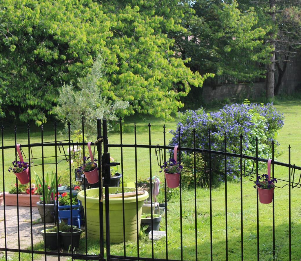 Chez Martine Et Bernard Bed & Breakfast Saint-Vincent-Sterlanges Bagian luar foto